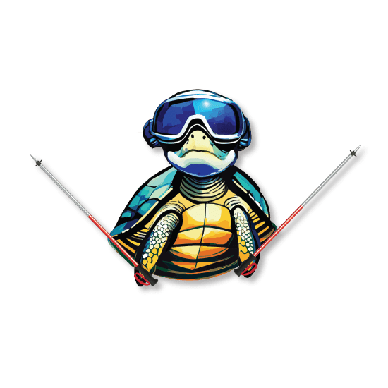 nbhs ski team collection - Nunya Biz store