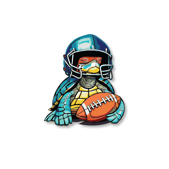 nbhs blindfolded football collection - Nunya Biz store